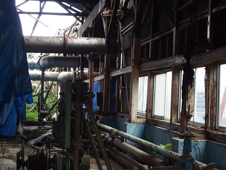 P7203654