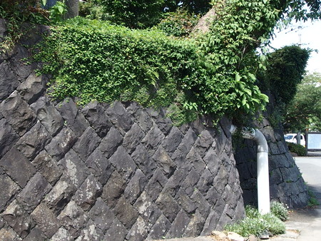 P7193447