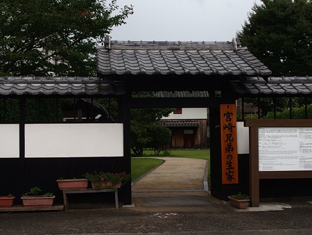 P7193493