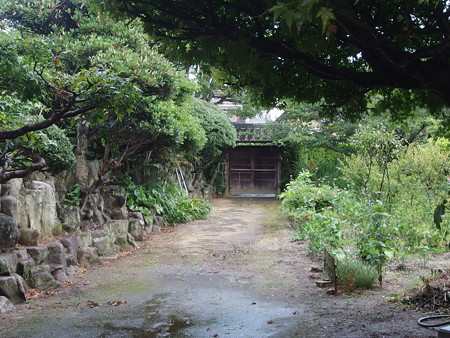 P7193499