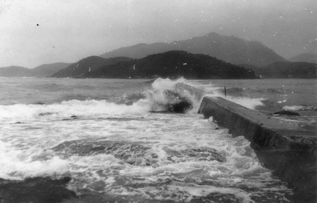 東浜-土用-9