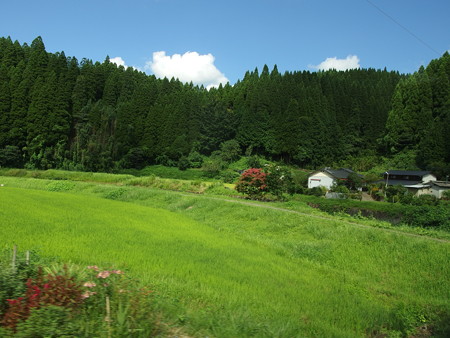 P8224150