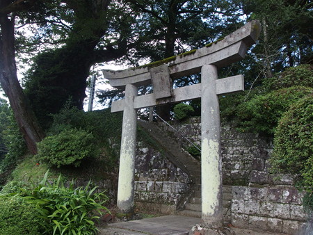 P8224151