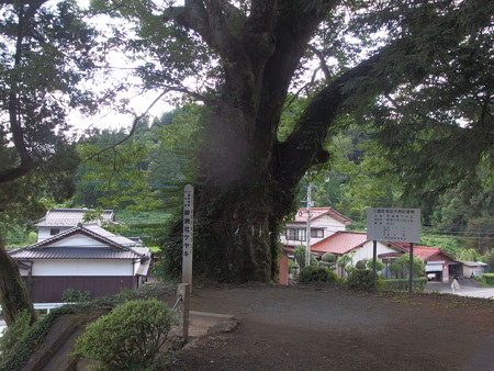 P8224160