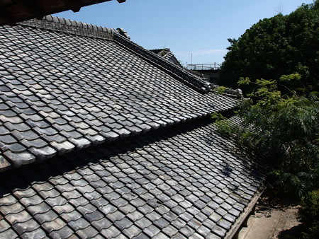 P8234309
