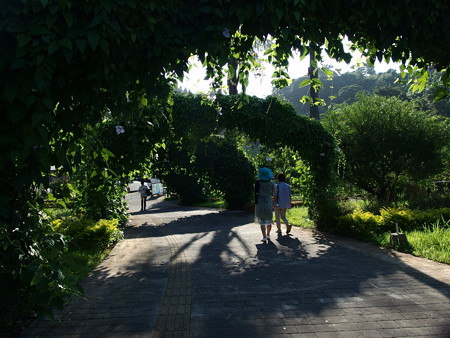 P8234448
