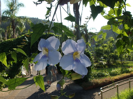 P8234449