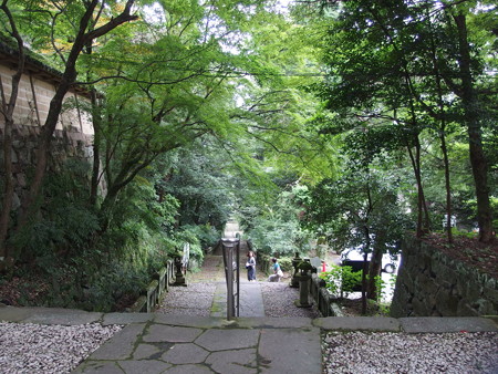 P8264499