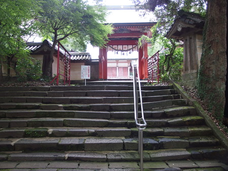 P8264500