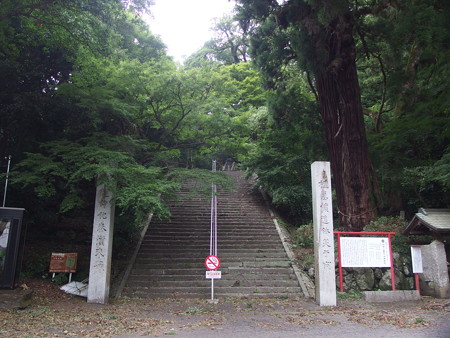 P8264575