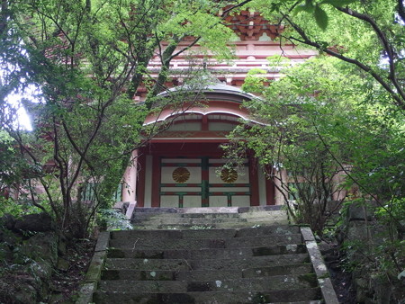 P8264563