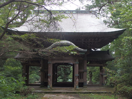 P8264524