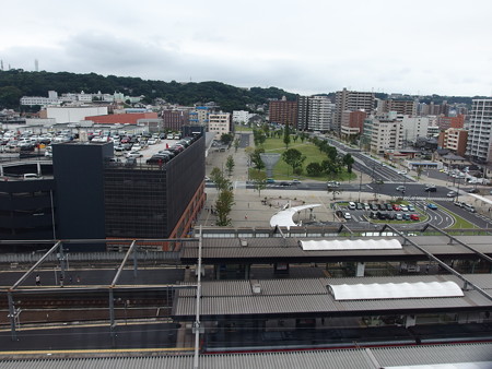 P8264584