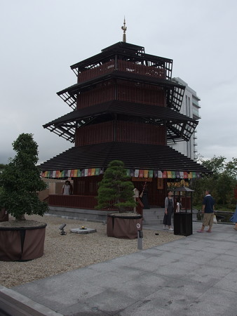 P8264600