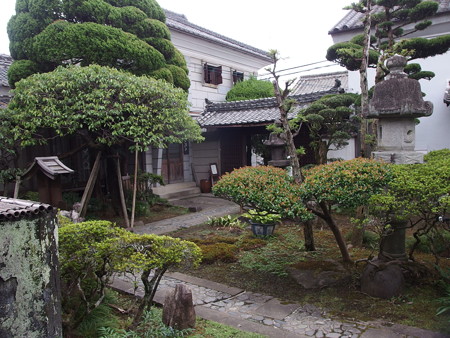 P8264675