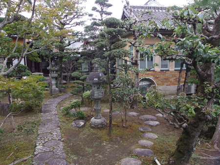 P8264689