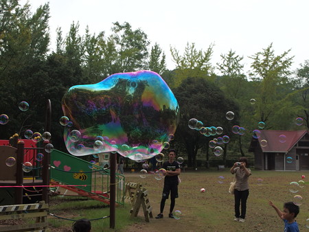 P9054745