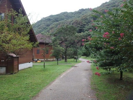 P9064770