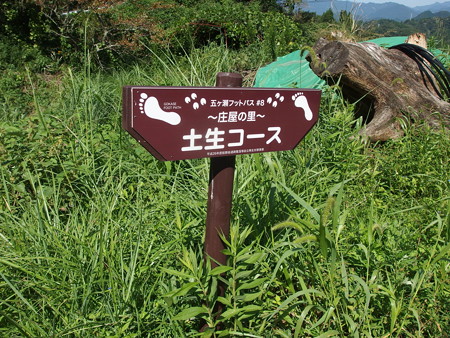 P9124865