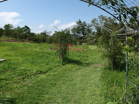 P9134935