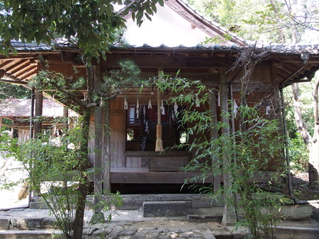 P9134958