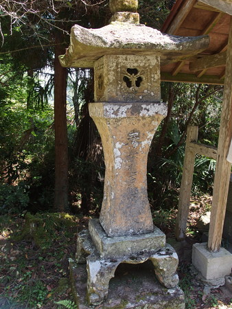 P9134982