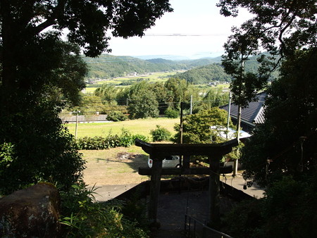 P9135035