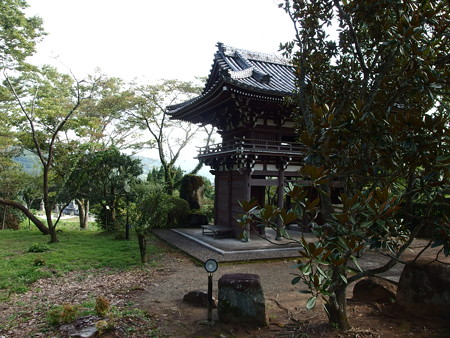 P9135058
