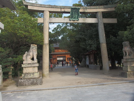 P9205188