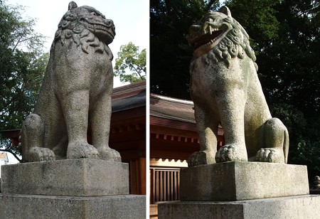 大山祇2