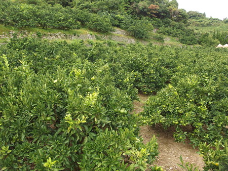 P9215308
