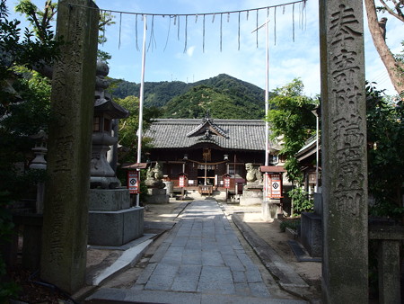 P9215324