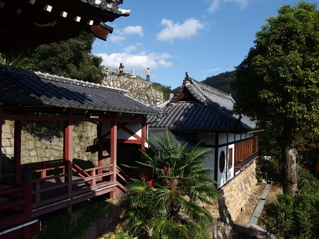 P9215625
