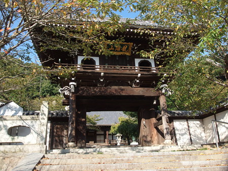 P9215672