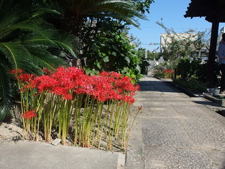P9225818