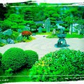 ノスタルジック    京都庭園