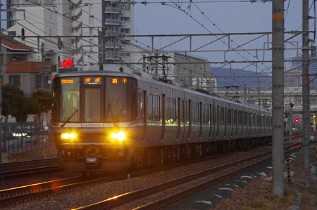IMGP7019
