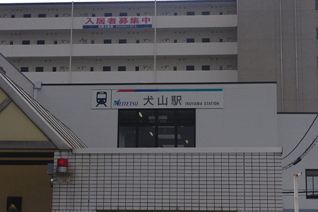 IMGP3384