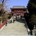 今は無き大銀杏の木
