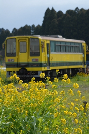 D20_4027