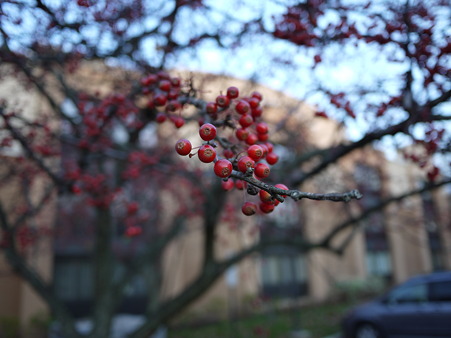 P1000333.JPG