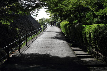 31. 丸亀城
