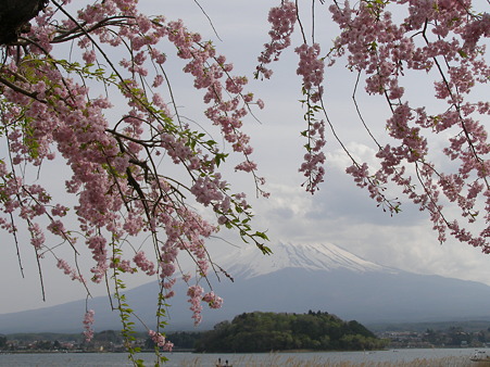 春惜しむ雲かかりたる富士の山