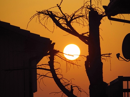 住宅地の夕陽