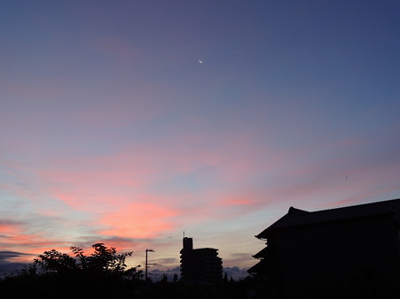 朝焼けの空に三ヶ月と金星