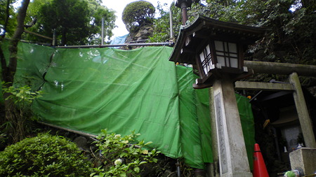 IMGP5270