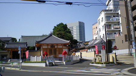IMGP5551