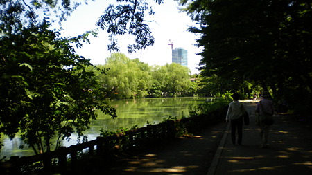 IMGP5597