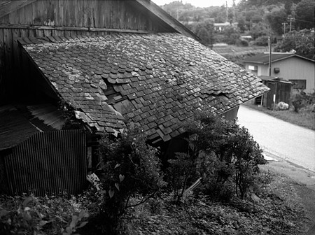 Image0275（MAMIYA M645）