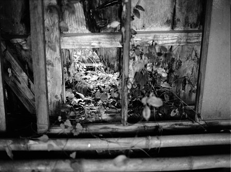 Image0276（MAMIYA M645）